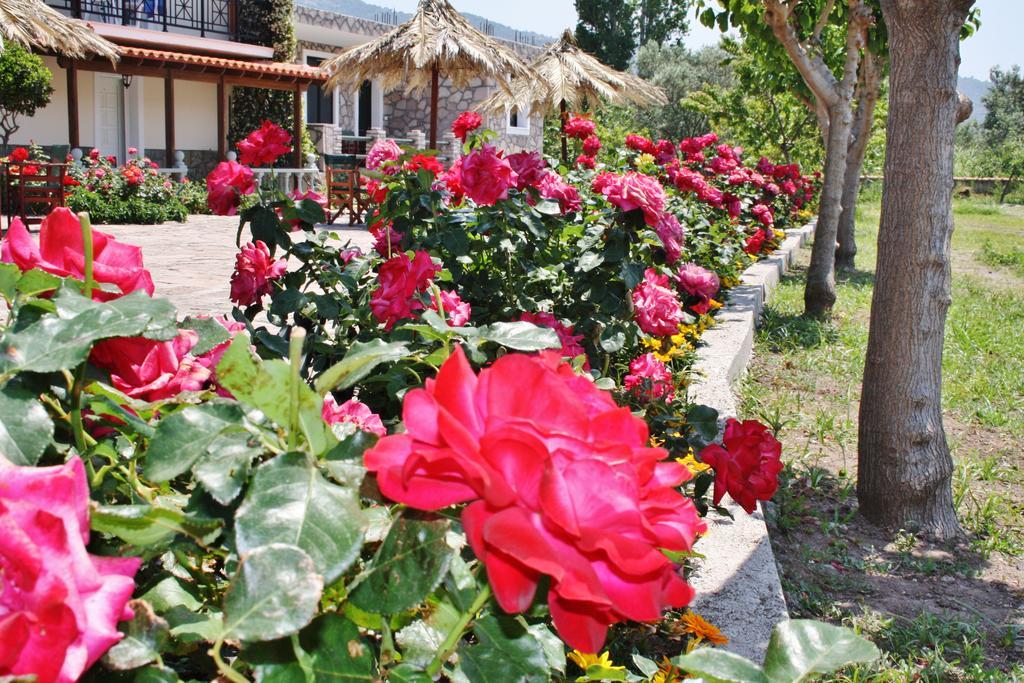 Villa Vicky Petra  Ngoại thất bức ảnh