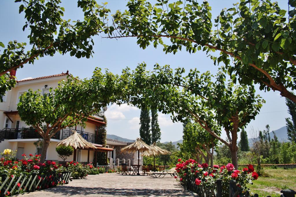 Villa Vicky Petra  Ngoại thất bức ảnh